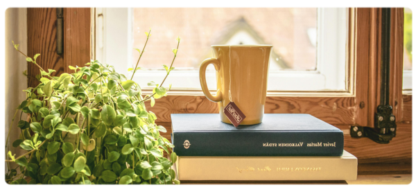 窗台上的一摞书上放着一杯茶，旁边是一棵绿色植物.